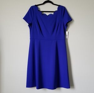 NWT Cobalt Blue Eyelet Dress
